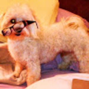 Meet your Posher, Christine